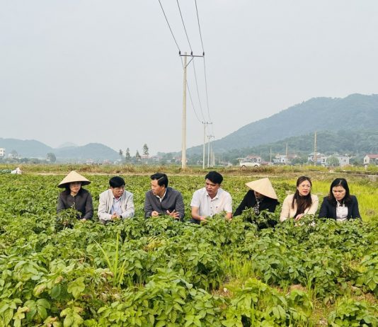 Hà Nội nhân rộng mô hình nông nghiệp xanh