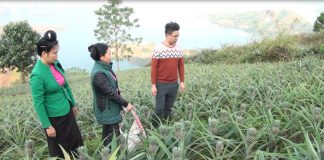 Nông dân miền núi làm gì để thoát nghèo