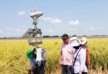 Chuyển đổi số trong nông nghiệp: Đừng để mãi là tiềm năng