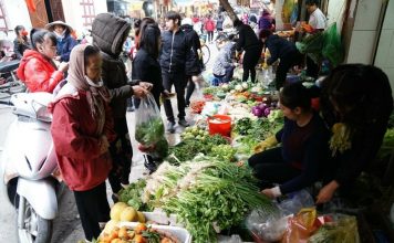 Chất lượng nông sản nội địa: Khi không ai dám chịu trách nhiệm cuối cùng