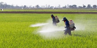 Giảm lệ thuộc hóa chất, bước chuyển tất yếu của nền nông nghiệp hiện đại