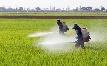 Giảm lệ thuộc hóa chất, bước chuyển tất yếu của nền nông nghiệp hiện đại