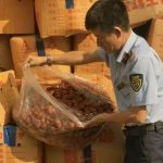 Hà Nội tạm giữ hơn 4 tấn táo đỏ nhập lậu, nguy cơ ảnh hưởng sức khỏe người tiêu dùng