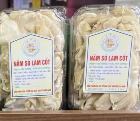 Sản phẩm OCOP Nấm sò Lam Cốt mở hướng phát triển mới cho địa phương