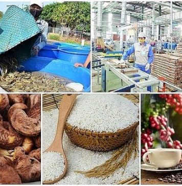 Thách thức mới với xuất khẩu nông sản chủ lực trong năm 2026