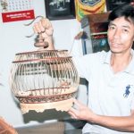 Làm giàu khác người: Kiếm bộn tiền nhờ “xây tổ ấm” cho chim cu gáy