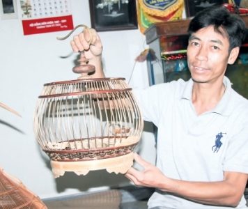 Làm giàu khác người: Kiếm bộn tiền nhờ “xây tổ ấm” cho chim cu gáy