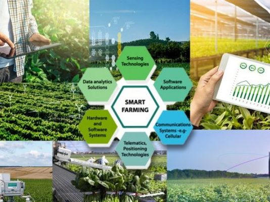 Nông sản Việt bứt phá nhờ… chuyển đổi số