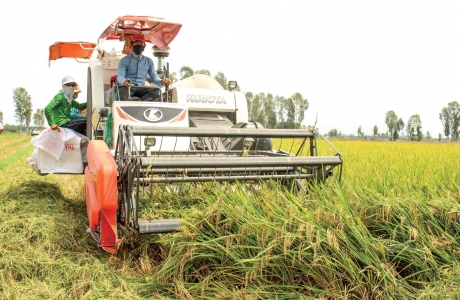 Hài hòa trong đầu tư cơ giới hóa nông nghiệp