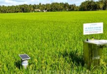 Bước chuyển mình mạnh mẽ của nông nghiệp Việt nhằm giảm phát thải