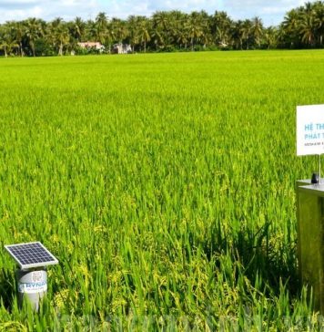 Bước chuyển mình mạnh mẽ của nông nghiệp Việt nhằm giảm phát thải