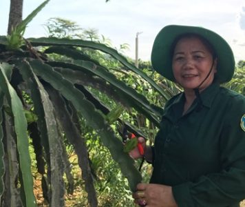 Làm giàu ở nông thôn: Biến đất bỏ hoang thành gia trang tiền tỷ