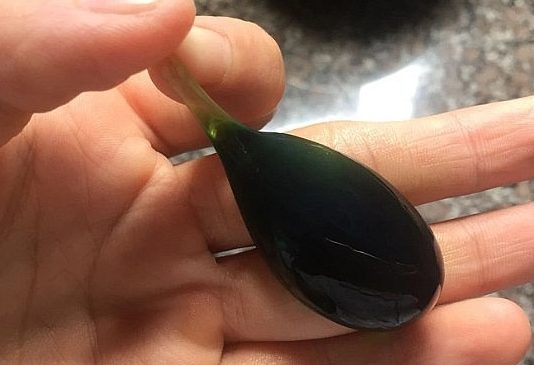 Ăn mật cá trắm: hai người bị suy gan, suy thận