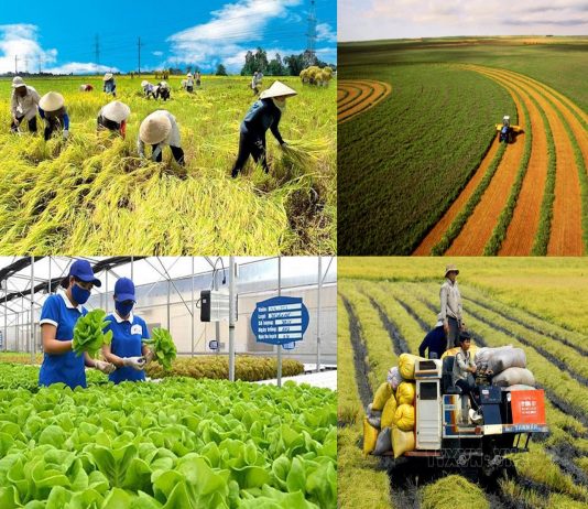 Doanh nghiệp kiến nghị cơ chế mở đường chuỗi giá trị nông nghiệp xanh