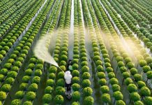 Cần cơ chế đặc thù để phát triển nhân lực nông nghiệp chất lượng cao