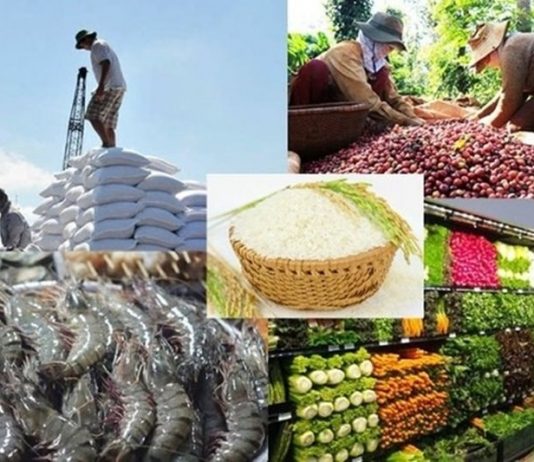 Tạo sức bật lớn cho xuất khẩu nông sản Việt