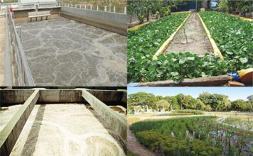 Miễn phí bảo vệ môi trường đối với nước thải từ sản xuất nông nghiệp