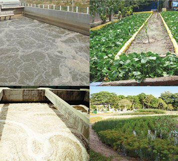 Miễn phí bảo vệ môi trường đối với nước thải từ sản xuất nông nghiệp