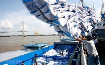 Năm 2025 Việt Nam xuất khẩu trên 8 triệu tấn gạo