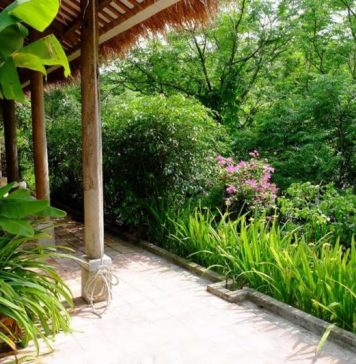 Nông dân Bách Thuận vươn lên làm giàu từ kinh tế vườn