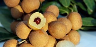 “3 không” khi ăn nhãn, biết mà tránh kẻo “rước họa”