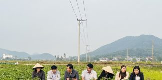 Hà Nội nhân rộng mô hình nông nghiệp xanh