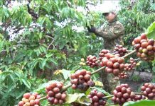 Tối ưu hoá chuỗi cung ứng để doanh nghiệp phát triển