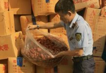 Hà Nội tạm giữ hơn 4 tấn táo đỏ nhập lậu, nguy cơ ảnh hưởng sức khỏe người tiêu dùng