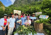 Khi nông sản Việt bước vào kỷ nguyên số