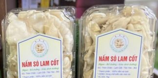 Sản phẩm OCOP: Nấm sò Lam Cốt mở hướng phát triển mới cho địa phương