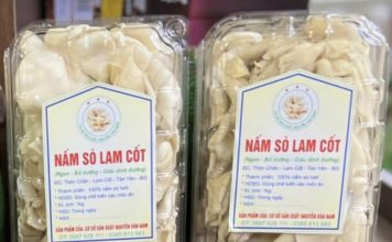 Sản phẩm OCOP Nấm sò Lam Cốt mở hướng phát triển mới cho địa phương