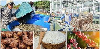 Thách thức mới với xuất khẩu nông sản chủ lực trong năm 2026