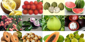 Hướng tới nông nghiệp hiện đại, bền vững