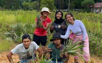 Giới trẻ Đông Nam Á trở lại với ruộng đồng, tìm tương lai từ nông nghiệp