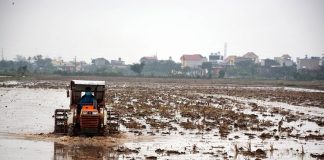 Thêm hơn 6% diện tích có nước để gieo cấy vụ Đông Xuân