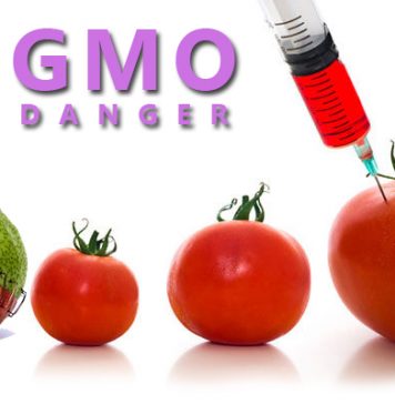 Quản lý ghi nhãn thực phẩm có chứa thành phần biến đổi gen