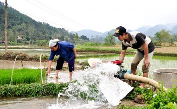 Gần 83% diện tích đã đủ nước gieo cấy vụ Đông Xuân