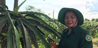 Làm giàu ở nông thôn: Biến đất bỏ hoang thành gia trang tiền tỷ