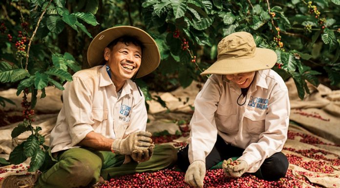 Xuất khẩu cà phê lập kỷ lục