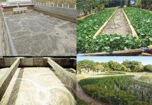 Miễn phí bảo vệ môi trường đối với nước thải từ sản xuất nông nghiệp