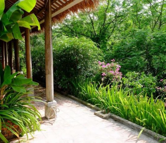 Nông dân Bách Thuận vươn lên làm giàu từ kinh tế vườn