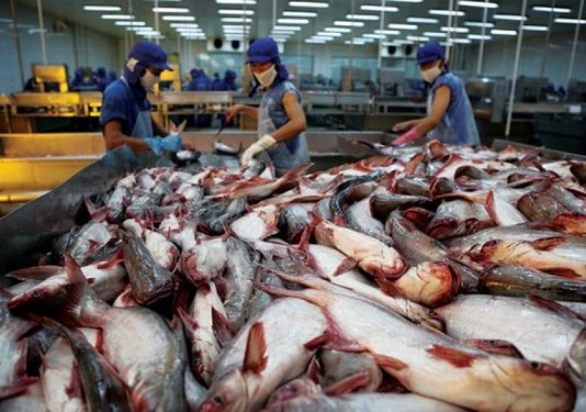 Công nhận hệ thống kiểm soát an toàn thực phẩm cá da trơn Việt Nam xuất khẩu sang Hoa Kỳ