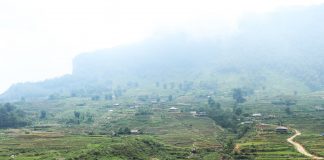 Thôn vùng cao ở Lào Cai, trước chìm trong hoa anh túc nay trồng lúa, ngô, cây ăn quả mà giảm nghèo làm giàu