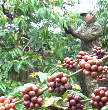 Tối ưu hoá chuỗi cung ứng để doanh nghiệp phát triển