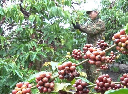 Tối ưu hoá chuỗi cung ứng để doanh nghiệp phát triển