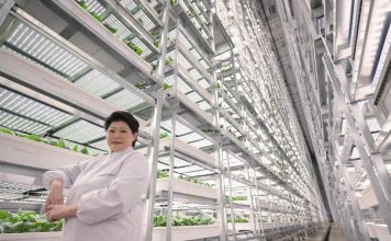 Trang trại thẳng đứng trong nhà cao nhất thế giới trị giá 80 triệu USD chính thức vận hành