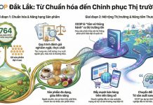 OCOP Đắk Lắk: Từ chuẩn hóa sản phẩm đến chinh phục thị trường