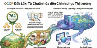 OCOP Đắk Lắk: Từ chuẩn hóa sản phẩm đến chinh phục thị trường