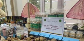 Đưa nông sản “bay xa” bằng con đường ngoại giao