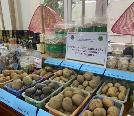 Đưa nông sản “bay xa” bằng con đường ngoại giao